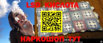 индика Лесосибирск