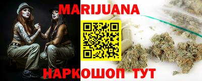 индика Лесосибирск