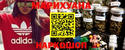 индика Лесосибирск