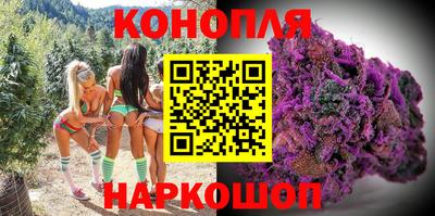 индика Лесосибирск